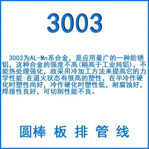 3003